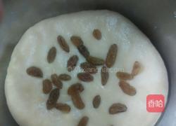 葡萄司康（发酵版）的做法图解11