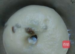 葡萄司康（发酵版）的做法图解17