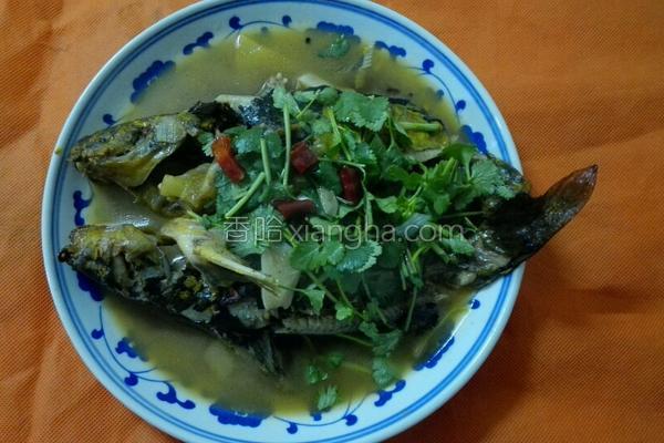 红烧葛鱼的做法_红烧葛鱼的做法大全_红烧葛