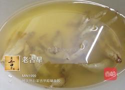 花胶椰汁牛奶冻的做法图解1