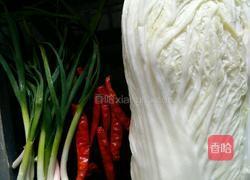 醋溜辣白菜的做法图解1