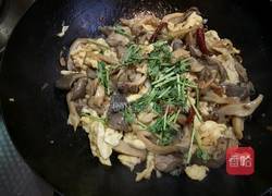 蘑菇炒鸡蛋怎么做呢 MjUwX2MyOjEvM15yYjI6MS84XzE4MA
