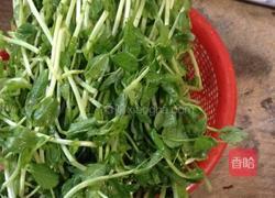 火丝豆苗的做法图解2