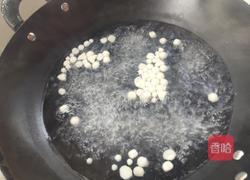 酒酿丸子（适合小孩吃）的做法图解3