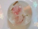 樱花水信玄饼