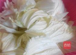 猪肉炒大白菜的做法图解3