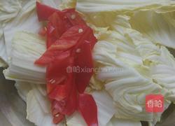 醋溜白菜的做法图解1