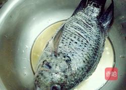 红烧珍珠斑的做法图解1