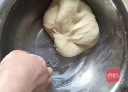 香菇豆沙馒头的做法图解5