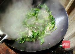 炒菠菜的做法图解3