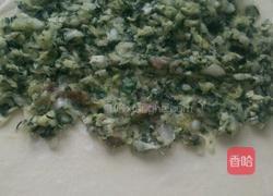菜合子的做法图解4