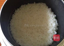 MjUwX2MxOjEvM15yYjI6MS84XzE4MA