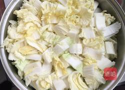 新版辣白菜的做法图解1