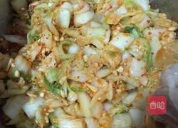 新版辣白菜的做法图解5