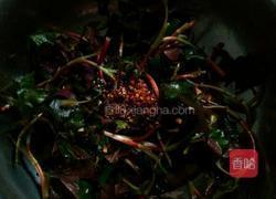 凉拌折耳根的做法图解4
