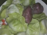 彩色荠菜水饺