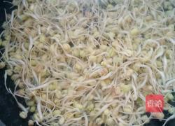 自己动手升绿豆芽的做法图解5