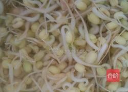 自己动手升绿豆芽的做法图解6