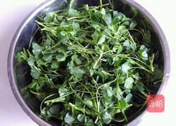 素炒秧草的做法图解1