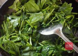 蒜蓉波菜的做法图解6