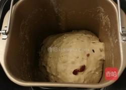 高纤十谷米蔓越莓土司的做法图解3