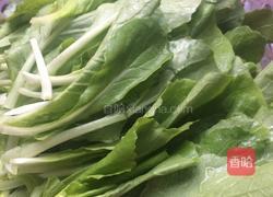 蒜泥小白菜的做法图解1