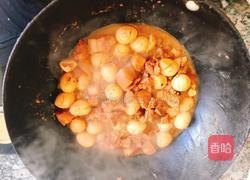红烧肉烩鹌鹑蛋的做法图解6