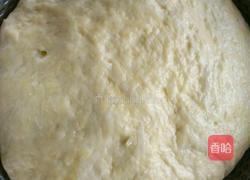椒盐花卷（全麦）的做法图解2