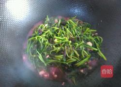 蒜末苋菜的做法图解6