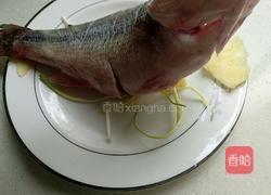 清蒸鲈鱼的做法图解4