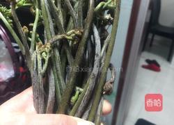酸辣蕨菜的做法图解2