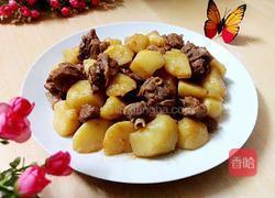 鸭肉焖土豆的做法图解8