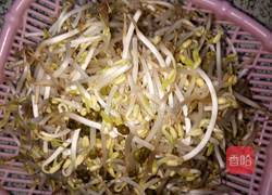 炝炒绿豆芽的做法图解1