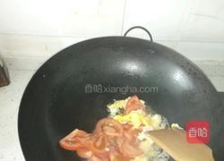 番茄鸡蛋面的做法图解2
