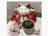 盆栽蛋糕