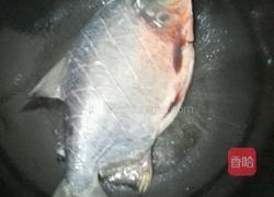红烧鲳鱼的做法图解3