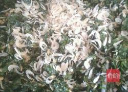 三鲜馅饺子的做法图解6