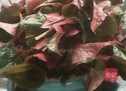白糖鱼腥草的做法图解1