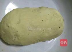 白菜（百财）饺子的做法图解2