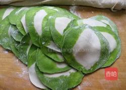 白菜（百财）饺子的做法图解7