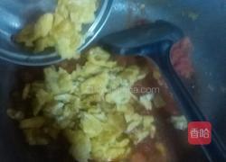 西红柿鸡蛋的做法图解13