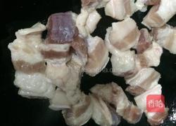 鲜笋烧肉的做法图解5