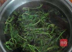 炸香椿的做法图解2