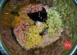 苜蓿猪肉馅饺子的做法图解6