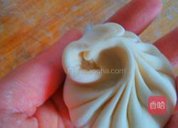 菊花包子的包法的做法图解2
