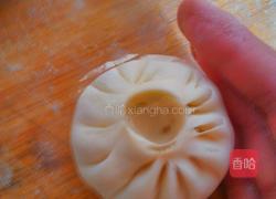 菊花包子的包法的做法图解8