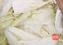 酸辣白菜的做法图解5