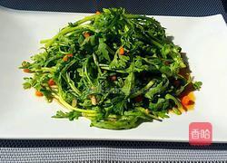 凉拌茼蒿的做法图解6