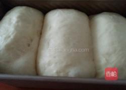 原味吐司包的做法图解8