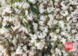 槐花饺子的做法图解1